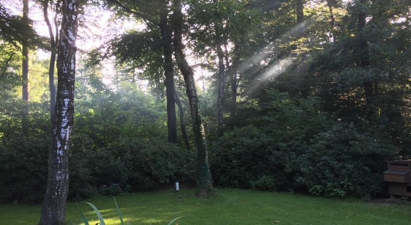 Bos * Putten