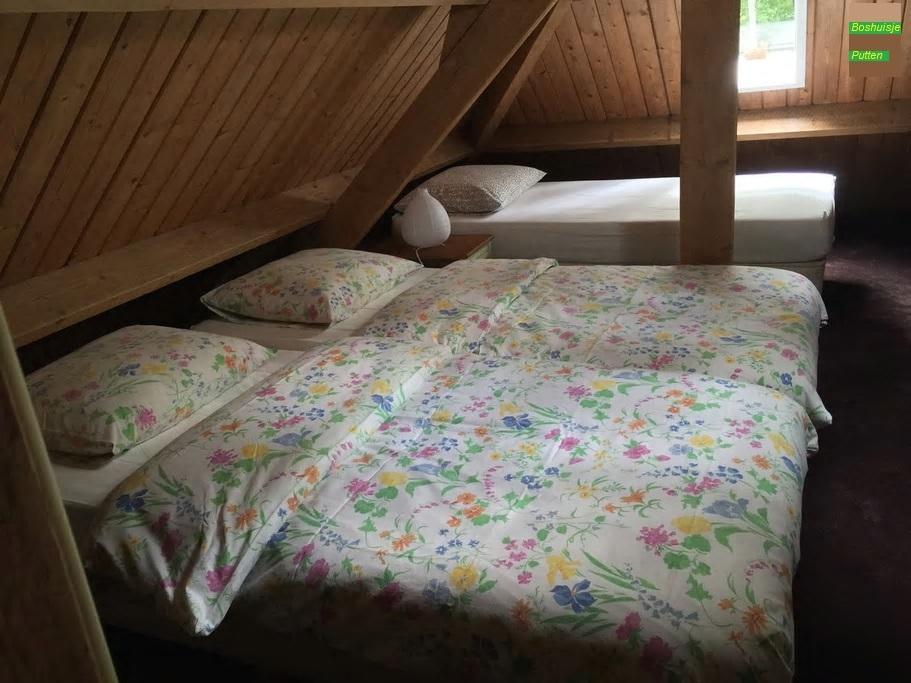 Bos Ferienhaus *